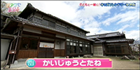 かいじゅうとたね