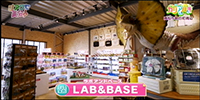 LAB&BASE