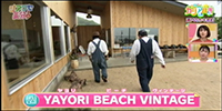 YAYORI BEACH VINTAGE