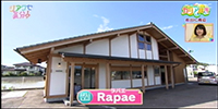 Rapae