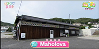 Maholova