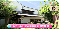 トラットリア自家製蕎麦 武野屋