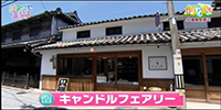 キャンドルフェアリー