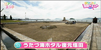 うたづ海ホタル　復元塩田