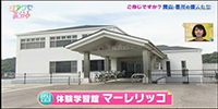 体験学習館マーレリッコ