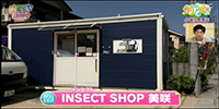 INSECT SHOP 美咲
