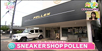 SNEAKER SHOP POLLEN