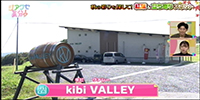  kibi VALLEY（キビ ヴァレー）