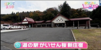 道の駅　がいせん桜　新庄宿