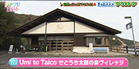 Umi to Taico せとうち太鼓の鼻ヴィレッジ