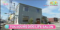 TOUJOURS DOG LIFE SALON