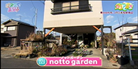 notto garden