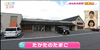 たかたのたまご