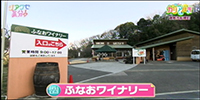 ふなおワイナリー