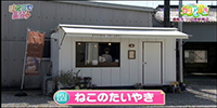 ねこのたいやき