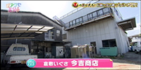 倉敷いぐさ 今吉商店