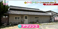 アウリンコ