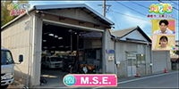 M.S.E