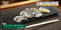 ダイニングバー モルフィッシュ