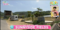 SUNNYSIDE FIELDS