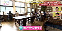 森ノナカノカフェ