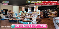 MOZAIKストアー大浜