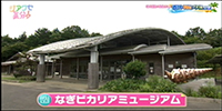 なぎビカリアミュージアム