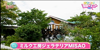 ミルク工房ジェラテリアMISAO