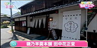 磯乃羊羹本舗 田中花正堂
