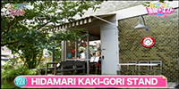 HIDAMARI KAKI-GORI STAND