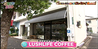 LUSHLIFE COFFEE