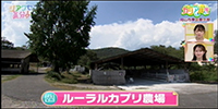 ルーラルカプリ農場