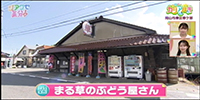 まる草のぶどう屋さん