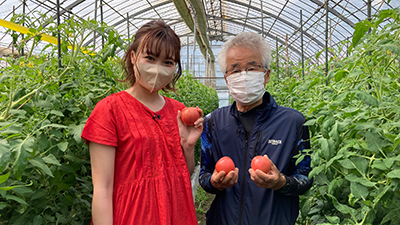 無添加完熟トマトジュースセット（鳥取県）