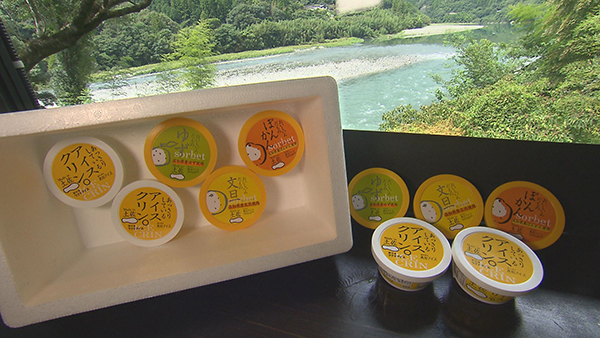 アイスクリンシャーベットセット(高知県)