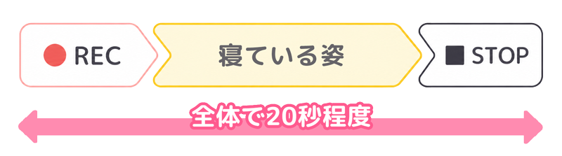 REC〜寝ている姿〜STOPの流れイメージ（全体で20秒程度）